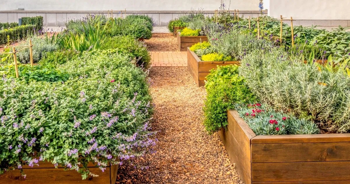 Goedkope verhoogde moestuin zelf maken: 5 geniale ideeën die bijna niets kosten – Einde maand