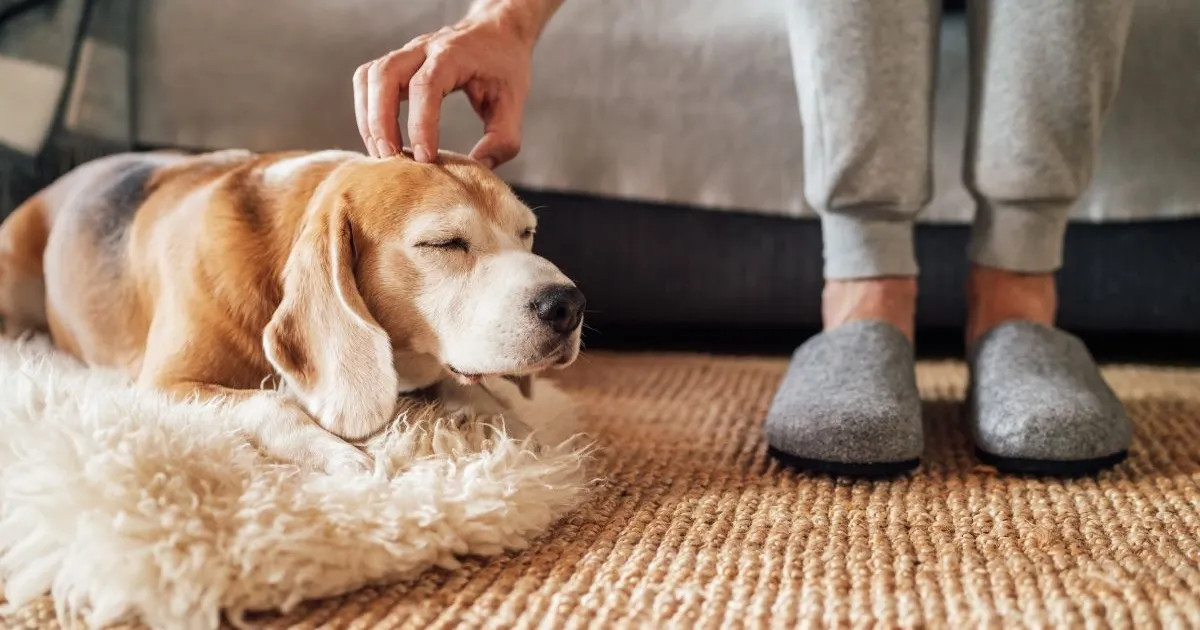 4+1 slimme tools voor een warmer huis – bespaar tientallen euro’s per maand