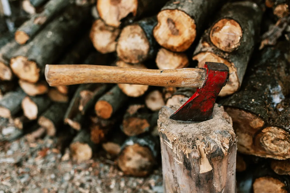 Aankondiging: Er komt hout met vaste maximumprijs — Winterupdate 2025