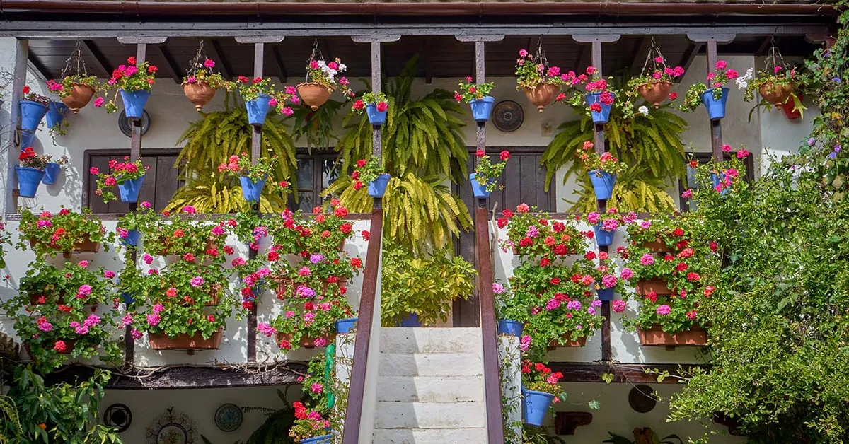 Bloemzaden om in mei te zaaien: 7 planten waarmee uw tuin deze zomer straalt